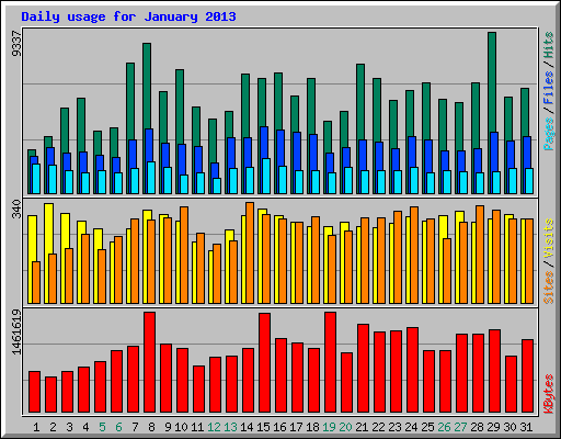 Daily usage for January 2013