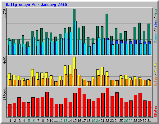 Daily usage for January 2019