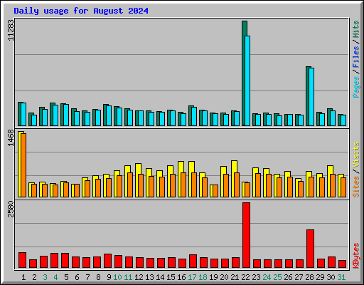 Daily usage for August 2024