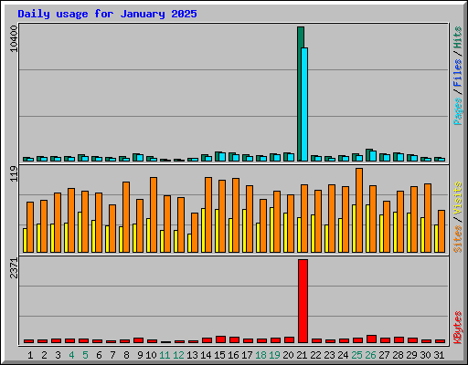 Daily usage for January 2025