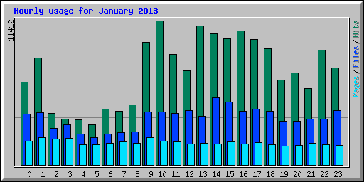 Hourly usage for January 2013