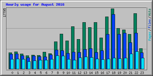 Hourly usage for August 2016