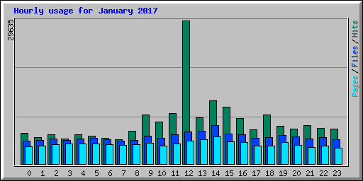 Hourly usage for January 2017