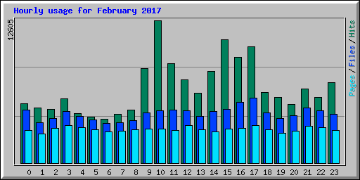 Hourly usage for February 2017