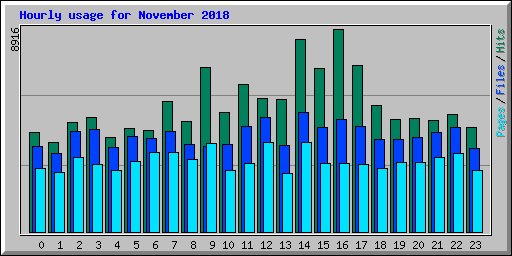 Hourly usage for November 2018