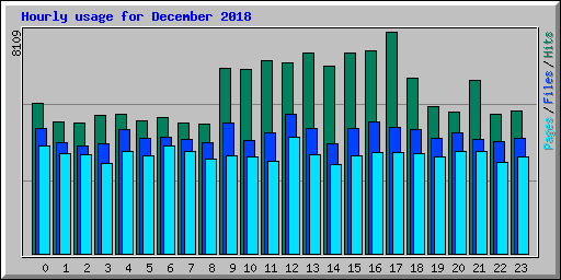 Hourly usage for December 2018