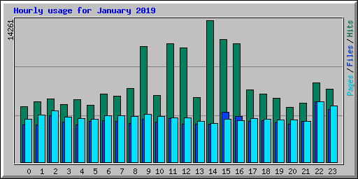Hourly usage for January 2019