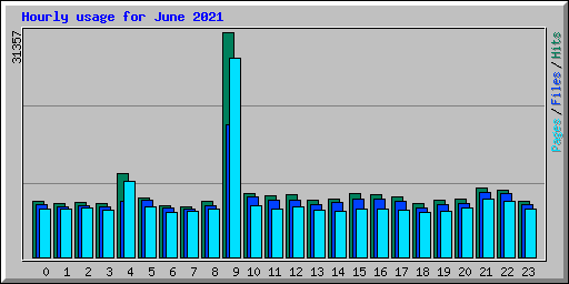 Hourly usage for June 2021