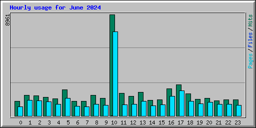 Hourly usage for June 2024