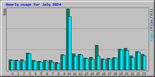 Hourly usage for July 2024
