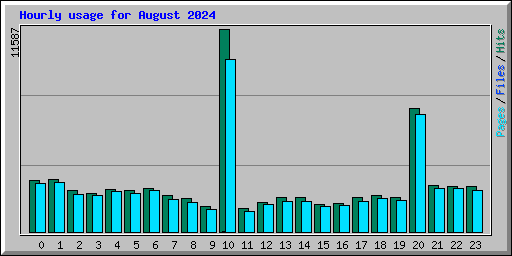 Hourly usage for August 2024