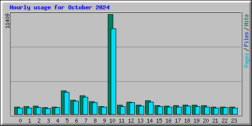 Hourly usage for October 2024