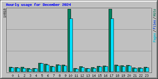Hourly usage for December 2024