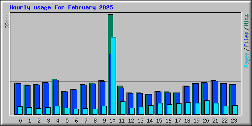 Hourly usage for February 2025