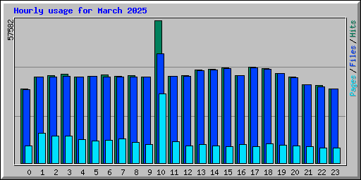 Hourly usage for March 2025