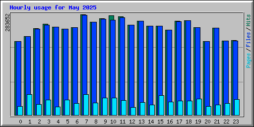 Hourly usage for May 2025