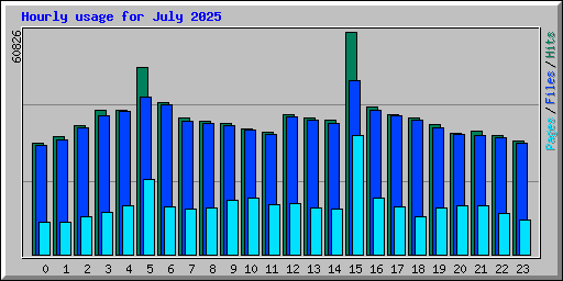 Hourly usage for July 2025