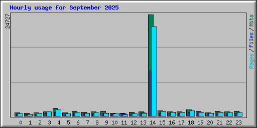 Hourly usage for September 2025