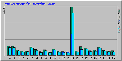 Hourly usage for November 2025
