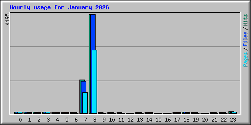 Hourly usage for January 2026