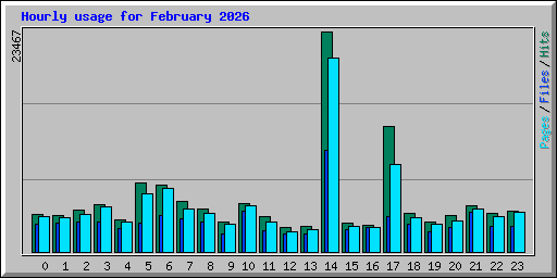 Hourly usage for February 2026