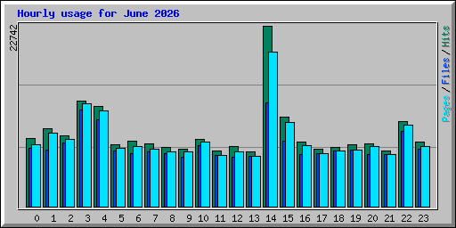 Hourly usage for June 2026