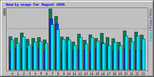 Hourly usage for August 2026